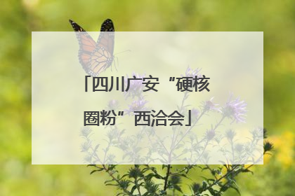 四川广安“硬核圈粉”西洽会