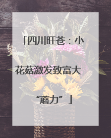 四川旺苍：小花菇激发致富大“蘑力”