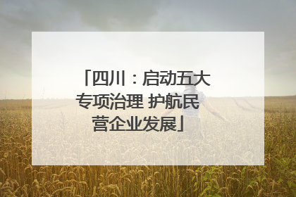 四川：启动五大专项治理 护航民营企业发展