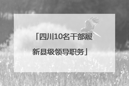 四川10名干部履新县级领导职务