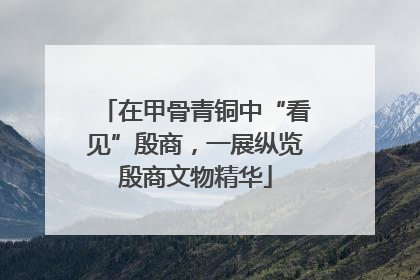 在甲骨青铜中“看见”殷商，一展纵览殷商文物精华
