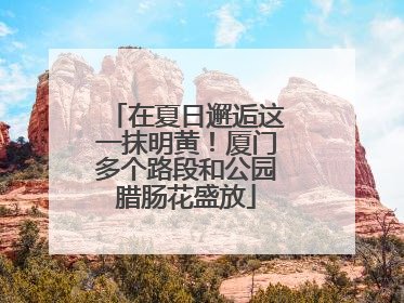 在夏日邂逅这一抹明黄！厦门多个路段和公园腊肠花盛放