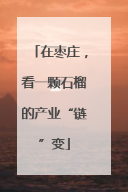 在枣庄，看一颗石榴的产业“链”变