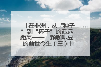 在非洲，从“种子”到“杯子”的遥远距离——一颗咖啡豆的前世今生（三）