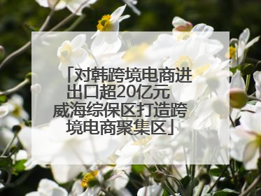 对韩跨境电商进出口超20亿元 威海综保区打造跨境电商聚集区
