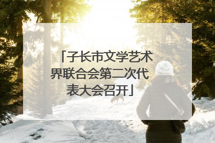 子长市文学艺术界联合会第二次代表大会召开