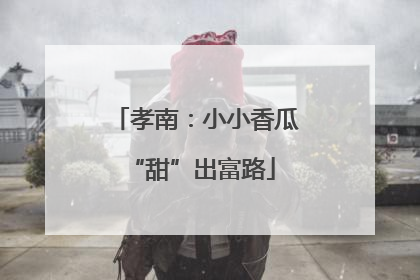 孝南：小小香瓜 “甜”出富路