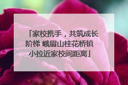 家校携手，共筑成长阶梯 峨眉山桂花桥镇小拉近家校间距离