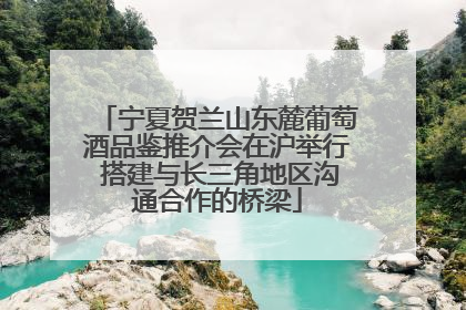 宁夏贺兰山东麓葡萄酒品鉴推介会在沪举行 搭建与长三角地区沟通合作的桥梁