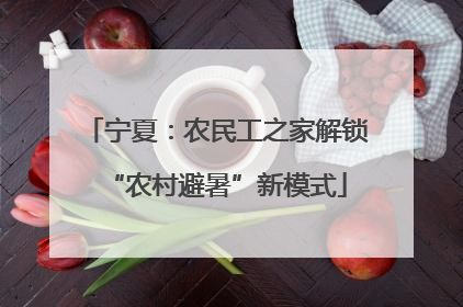 宁夏：农民工之家解锁“农村避暑”新模式