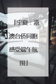宁夏：港澳台侨同胞感受端午氛围