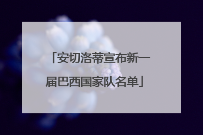 安切洛蒂宣布新一届巴西国家队名单