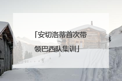 安切洛蒂首次带领巴西队集训