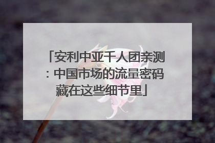 安利中亚千人团亲测：中国市场的流量密码 藏在这些细节里