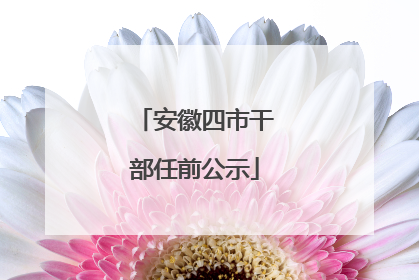 安徽四市干部任前公示