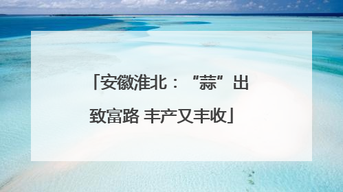 安徽淮北：“蒜”出致富路 丰产又丰收