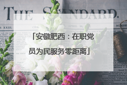 安徽肥西：在职党员为民服务零距离