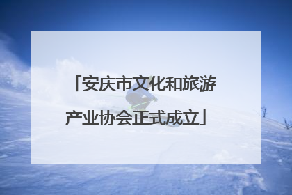 安庆市文化和旅游产业协会正式成立