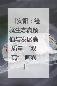安阳：绘就生态高颜值与发展高质量 “双高” 画卷