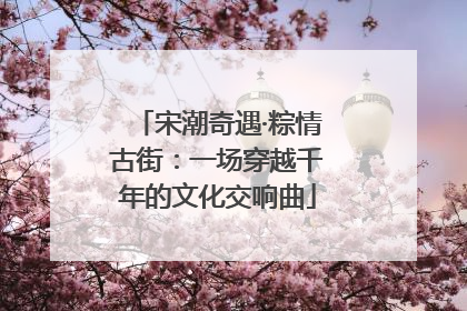 宋潮奇遇·粽情古街：一场穿越千年的文化交响曲