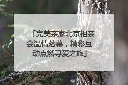 完美亲家北京相亲会温情落幕，精彩互动点燃寻爱之旅