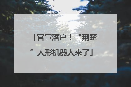 官宣落户！“荆楚”人形机器人来了
