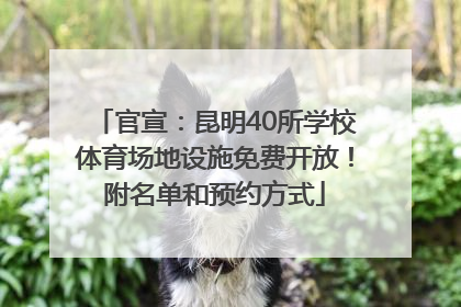官宣：昆明40所学校体育场地设施免费开放！附名单和预约方式