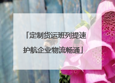 定制货运班列提速 护航企业物流畅通
