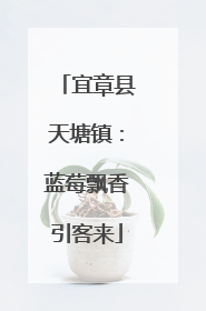 宜章县天塘镇：蓝莓飘香引客来