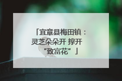 宜章县梅田镇：灵芝朵朵开 撑开“致富花”