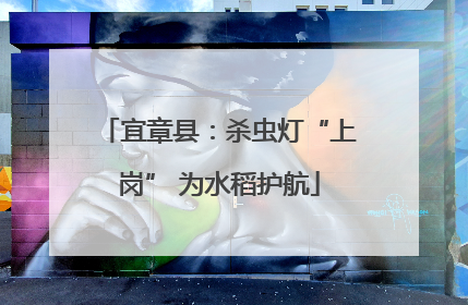 宜章县：杀虫灯“上岗” 为水稻护航