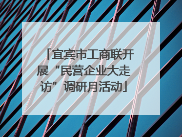宜宾市工商联开展“民营企业大走访”调研月活动