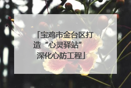 宝鸡市金台区打造“心灵驿站” 深化心防工程
