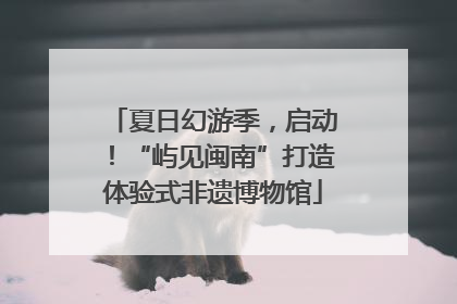 夏日幻游季，启动！“屿见闽南”打造体验式非遗博物馆