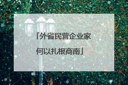 外省民营企业家何以扎根商南