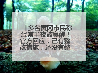 多名黄冈市民称经常半夜被臭醒！官方回应：已有整改措施，还没有整改情况