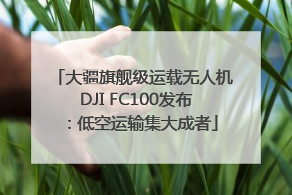 大疆旗舰级运载无人机DJI FC100发布：低空运输集大成者