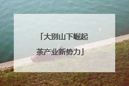 大别山下崛起茶产业新势力