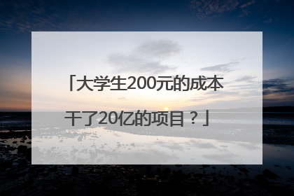 大学生200元的成本干了20亿的项目？