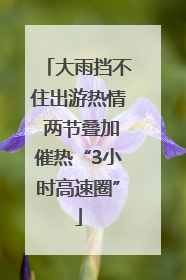 大雨挡不住出游热情 两节叠加催热“3小时高速圈”