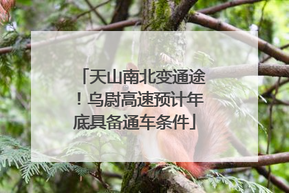 天山南北变通途！乌尉高速预计年底具备通车条件