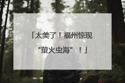 太美了！福州惊现“萤火虫海”！