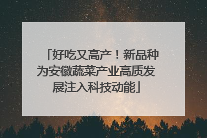 好吃又高产！新品种为安徽蔬菜产业高质发展注入科技动能