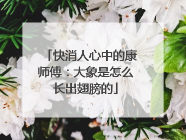 快消人心中的康师傅：大象是怎么长出翅膀的