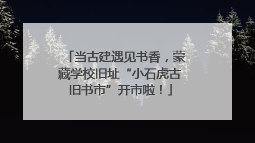 当古建遇见书香，蒙藏学校旧址“小石虎古旧书市”开市啦！