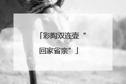 彩陶双连壶“回家省亲”