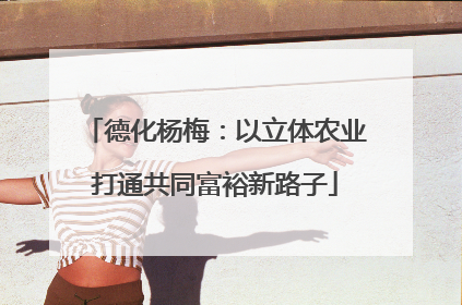 德化杨梅：以立体农业打通共同富裕新路子