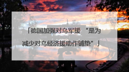 德国加强对乌军援 “是为减少对乌经济援助作铺垫”