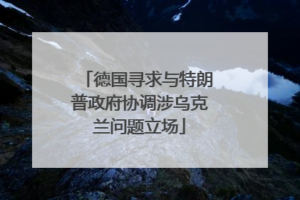 德国寻求与特朗普政府协调涉乌克兰问题立场