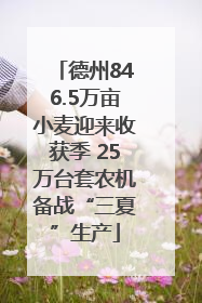 德州846.5万亩小麦迎来收获季 25万台套农机备战“三夏”生产
